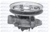 DOLZ H115 Water Pump